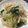らんとこなん's cooksnap of when they made 給食の味♪野菜の中華和え.