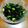クック4VACRR☆'s cooksnap of when they made とっても簡単 オクラと枝豆のおかず.
