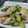 ばく★ちく's cooksnap of when they made 鶏肉ときゅうりの塩炒め♪.