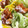クック7O6WKJ☆'s cooksnap of when they made 揚げ鶏とちぎりレタスのサラダ❤.