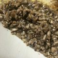 セナなん's cooksnap of when they made マッシュルームバター　.