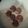 ちぃ✴︎'s cooksnap of when they made ホロっと…焼きチョコ◆ベイクドショコラ◆.