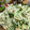 クックN7Y50W☆'s cooksnap of when they made きゅうりと切干大根のさっぱり中華サラダ.