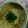 ma___111's cooksnap of when they made 南房総市給食◆基本のだし汁（かつお）.