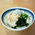 シナモシナモ's cooksnap of when they made さっぱり♪しらすおろしぽん酢うどん.