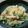 クックVL4391☆'s cooksnap of when they made 我が家の簡単ポテトサラダ.