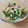 maimaso's cooksnap of when they made 豆苗ときのこのバター炒め.