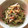 かこみ's cooksnap of when they made もやしときゅうりのキムチ！.