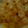 ma___111's cooksnap of when they made コーンと卵のバター炒め☆.