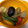 べるつり嫁's cooksnap of when they made ☆超簡単 我が家のめちゃウマ筑前煮☆.