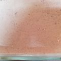 マキトド's cooksnap of when they made ★ 材料たったの4つ！レアチーズケーキ★.