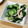 まきさん's cooksnap of when they made 誰でも簡単きゅうりと鶏のささみの酢の物.