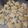 pumpkin★'s cooksnap of when they made ずっとサクサクッ！簡単クッキー.