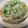 クックI6NLMD☆'s cooksnap of when they made 冷やしオクラおろしそば.