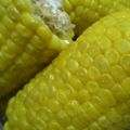 るりか　's cooksnap of when they made 美味しいトウモロコシの茹で方.