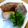 おぶうさま's cooksnap of when they made 簡単！肉巻きまぜごはん♬.