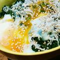 アイアンツリー's cooksnap of when they made モロヘイヤとしらすのお浸し.