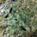 クック7U9OGL☆'s cooksnap of when they made 夏野菜の山形だし風 フードプロセッサーで.