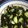 クック7KG38C☆'s cooksnap of when they made 簡単 酢の物.