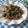 miyuki12's cooksnap of when they made おくら炒め♪.