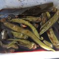 クックI2FWGH☆'s cooksnap of when they made 青唐辛子の醤油漬け（かえし醤油だれ）.