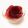 ♡はな1204♡'s cooksnap of when they made ヨーグルトだけ♪　簡単レアチーズケーキ♪.