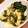 オズのオズマ姫's cooksnap of when they made つるむらさきと油揚げの卵とじ.
