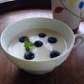noraemonb's cooksnap of when they made ヨーグルトミルクゼリー♡オレンジソース.