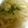 kazukyua's cooksnap of when they made 青唐辛子で絶品メキシカン料理！.
