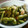 料理初心者りょうこ's cooksnap of when they made ＊アヒージョ風・枝豆の直炒め＊.