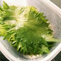 ＊SHIBA＊'s cooksnap of when they made 美味しい！簡単！大葉の醤油漬(^○^).