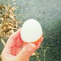 くまちーこ's cooksnap of when they made 黄身まで塩味☆ゆで卵.