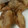 ゆるりくま's cooksnap of when they made 覚え書き:かんたんサクサク塩唐揚げ♪.