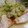 かるず's cooksnap of when they made 万能＊ねぎ塩だれ.