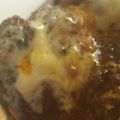 yurietti's cooksnap of when they made 豚挽き肉100%チーズハンバーグ◆簡単.