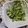 よちりん's cooksnap of when they made きゅうりの塩漬け、簡単♪.