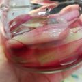 せっちょって。's cooksnap of when they made ミョウガの甘酢漬け.