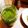 Quegiro's cooksnap of when they made 間違いなし。定番のジェノベーゼソース.