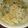 azuki1963's cooksnap of when they made 簡単！ゴーヤとツナのパスタ.