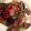 クックGFY8CA☆'s cooksnap of when they made オイスターソース☆野菜炒め.