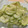 ぴぃかおちゃん's cooksnap of when they made 半白きゅうりの和えもの.