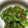 まるりゅう's cooksnap of when they made ピーマンのかつお節炒め.
