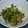 ヨシヨッシー's cooksnap of when they made アジのたたき。.