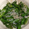ちゃぎー's cooksnap of when they made 夏は手早く♪しし唐とじゃこのさっと煮♡.