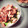 善法寺's cooksnap of when they made しょうが焼きとサラダのそうめん.