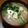 キャラメルバニラ's cooksnap of when they made 知らなかった…味噌汁にゆず豆腐.