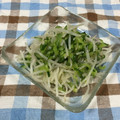 まさたかまま's cooksnap of when they made きゅうりともやしのナムル.