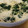 ぶきっちょちぃちゃん's cooksnap of when they made 明治おいしい牛乳で簡単洋風茶碗蒸し.