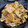 もよよ's cooksnap of when they made 牛肉と大根と糸こんにゃくのすき焼風炒め.