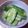 AJINO's cooksnap of when they made きゅうりのごま油風味漬け。。。.